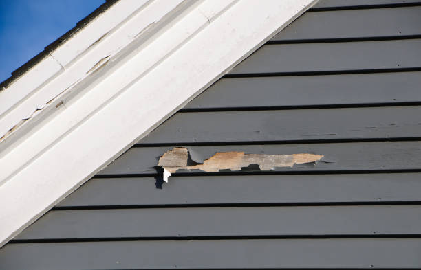 Best Custom Trim and Detailing for Siding  in North Beach, MD